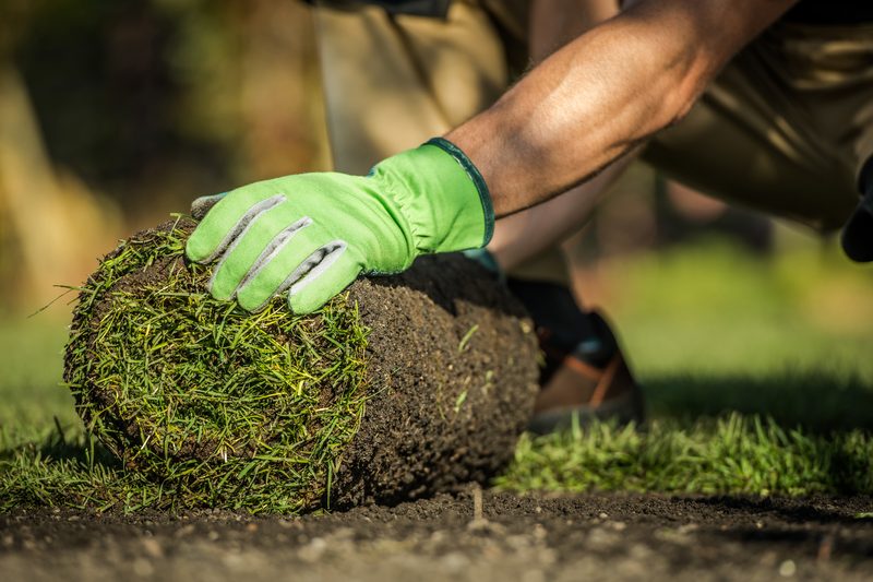 Lawn Maintenance